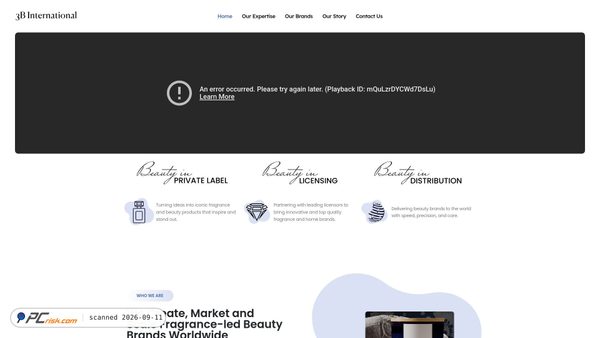 3binternational.com screenshot