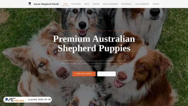 aussieshepherdworld.com screenshot