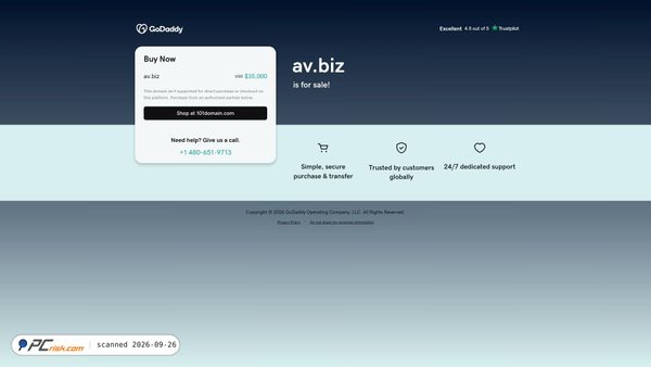 av.biz screenshot