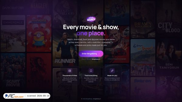 bingebang.com screenshot