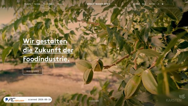 boeschbodenspies.com screenshot
