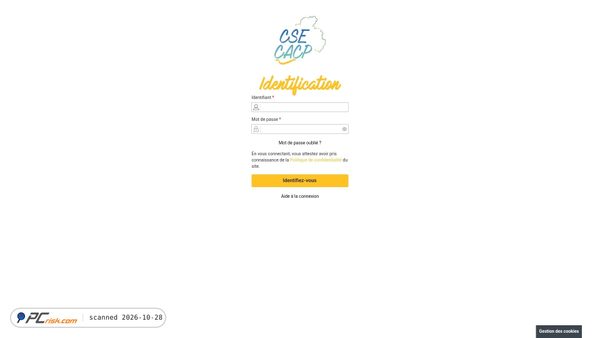 csecacp.fr screenshot