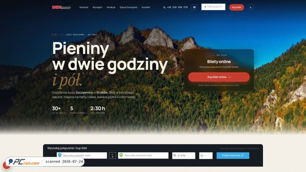 diditrans.pl screenshot