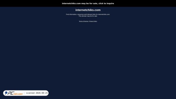 internetchiks.com screenshot