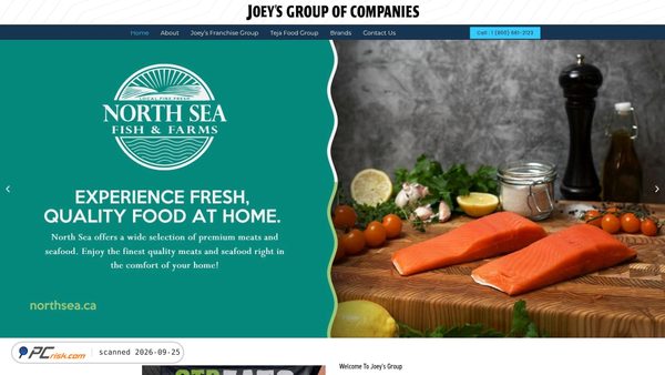 joeysgroup.ca screenshot