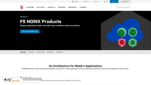 nginx.com screenshot