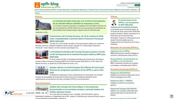 opfh-blog.es screenshot