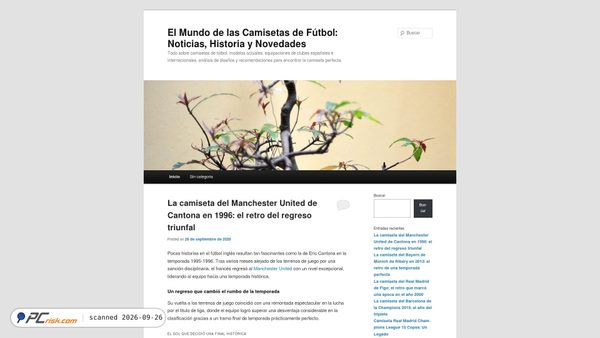 pasioncamiseta.com screenshot
