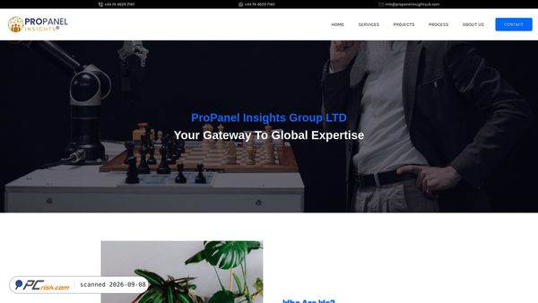 propanelinsightsuk.com screenshot
