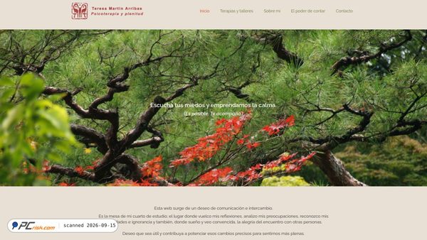 psicoterapiayplenitud.es screenshot