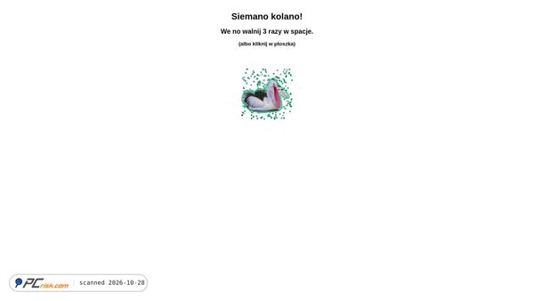 ptoszek.pl screenshot