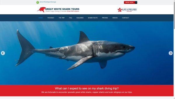 sharkcagediving.net screenshot