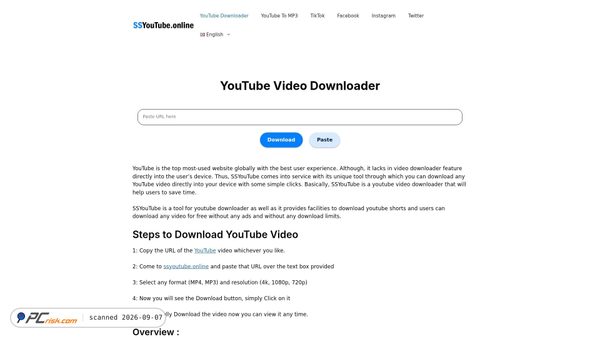 ssyou.online screenshot
