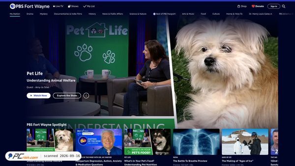video.wfwa.org screenshot
