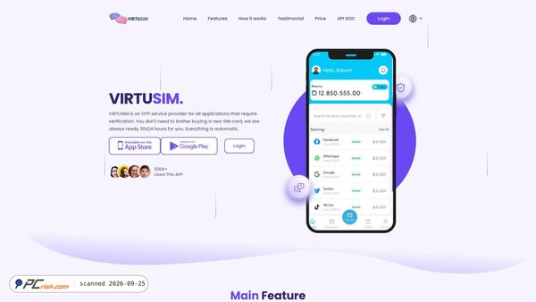 virtusim.com screenshot